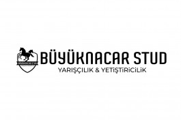 Satılık Taylarımız